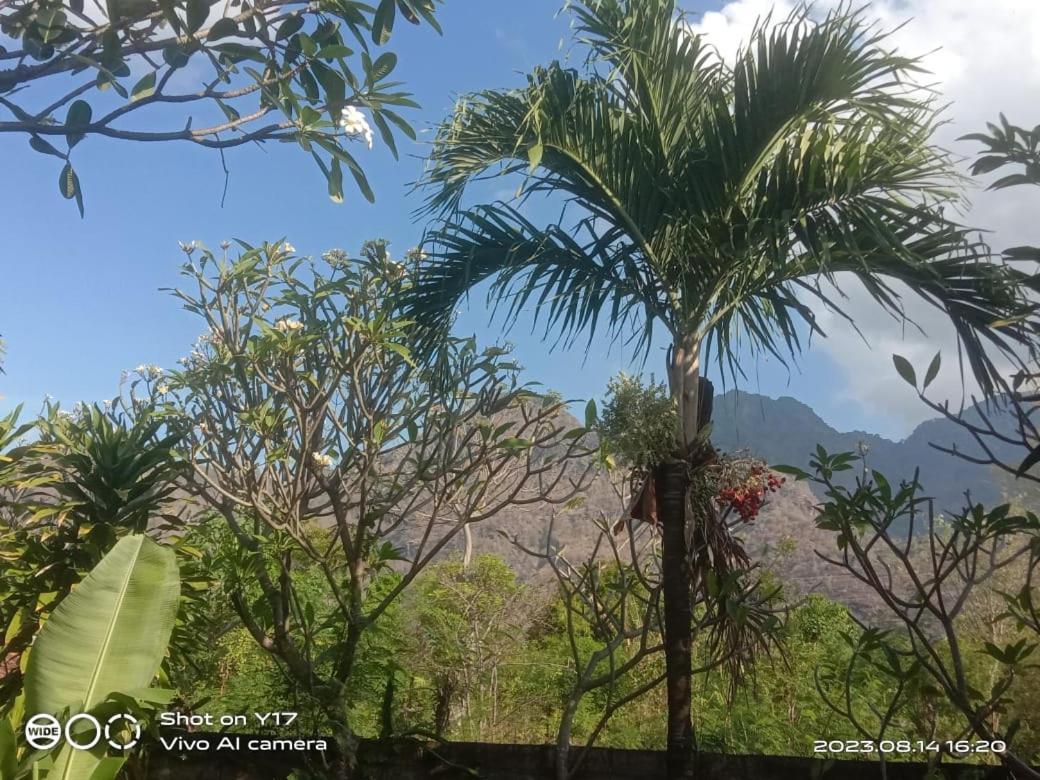 Tirta Bali Homestay Pemuteran Exterior foto